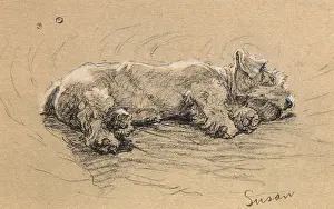 Sealyham: Illustration by Cecil Aldin, Time I Was Dead