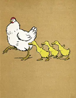Aldin: Illustration by Cecil Aldin, Ugly Duckling