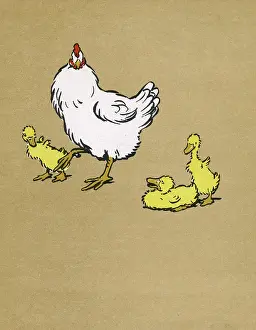 Aldin: Illustration by Cecil Aldin, Ugly Duckling