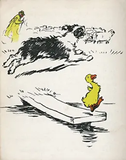 Plank: Illustration by Cecil Aldin, Ugly Duckling