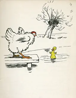 Plank: Illustration by Cecil Aldin, Ugly Duckling
