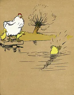 Plank: Illustration by Cecil Aldin, Ugly Duckling