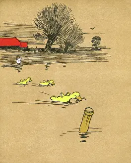 Plank: Illustration by Cecil Aldin, Ugly Duckling