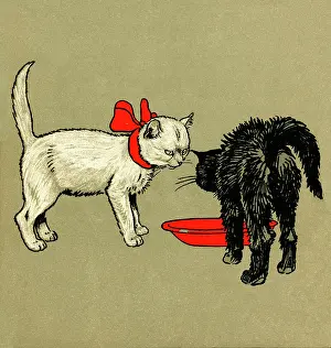 Annoyed: Illustration by Cecil Aldin, The White Kitten Book