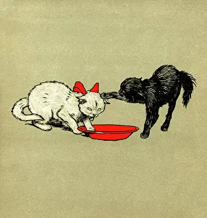 Annoyed: Illustration by Cecil Aldin, The White Kitten Book