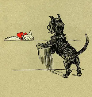 Afraid: Illustration by Cecil Aldin, The White Kitten Book
