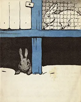 Caged: Illustration by Cecil Aldin, White Rabbit
