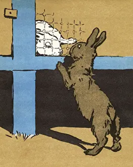 Caged: Illustration by Cecil Aldin, White Rabbit
