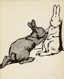 Proposing: Illustration by Cecil Aldin, White Rabbit