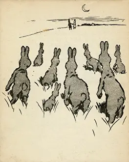 Bluebell: Illustration by Cecil Aldin, White Rabbit