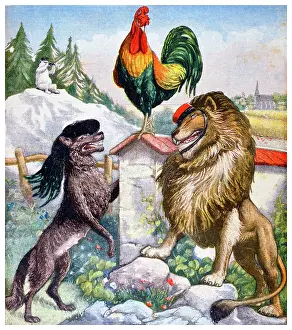 Representing: Illustration of a Cockerel a Fox and a lion representing
