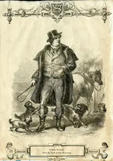 Dandy: Illustration, Dandie Dinmont