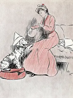 Parlour: Illustration, The Dogs of War