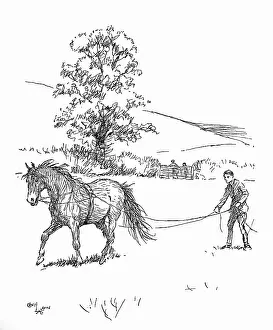Exmoor: Illustration, driving a pony on long reins