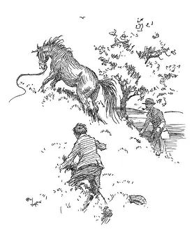 Escaping: Illustration, escaped pony