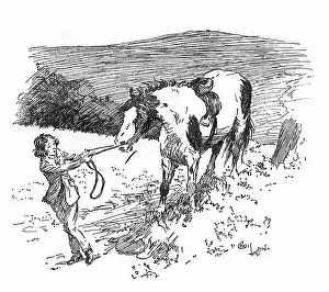 Joker: Illustration, girl pulling at Joker's reins