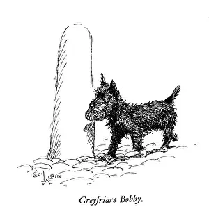 Greyfriars: Illustration of Greyfriars Bobby by Cecil Aldin