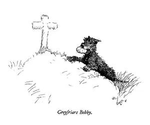 Greyfriars: Illustration of Greyfriars Bobby by Cecil Aldin
