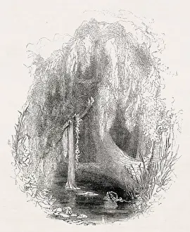 Ophelia: Illustration, Hamlet, by William Shakespeare