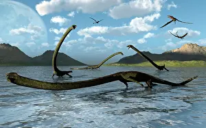 Tanystropheus: Illustration of a herd of Tanystropheus reptiles