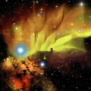 Constellation: Illustration of the Horsehead Nebula