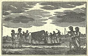 Tjgroup: Illustration from Lewis and Clark's journal ?