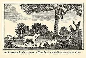 Tjgroup: Illustration from Lewis and Clark's journal ?