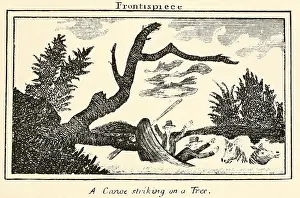 Tjgroup: Illustration from Lewis and Clark's journal ?