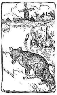 Fairytales: Illustration, The Marriage of Mrs Reynard
