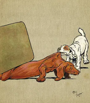 Scruff: Illustration, Merry and Bright, by Cecil Aldin