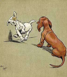 Dizzy: Illustration, Merry and Bright, by Cecil Aldin