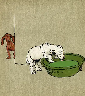 Dizzy: Illustration, Merry and Bright, by Cecil Aldin