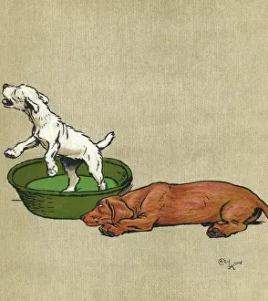 Dozing: Illustration, Merry and Bright, by Cecil Aldin