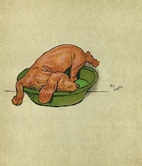Difficulty: Illustration, Merry and Bright, by Cecil Aldin
