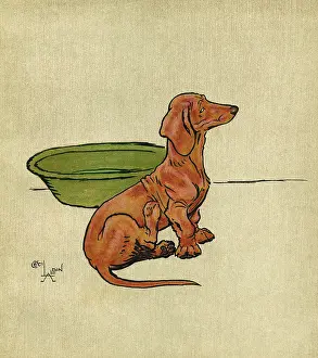 Scratching: Illustration, Merry and Bright, by Cecil Aldin