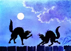 Conflicting: Illustration Two Noisy Loud Squalling Black Cats