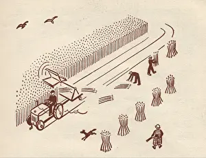 Sheaves: Illustration from The Pathfinders, Book One