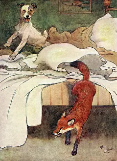 Escaping: Illustration, Peter, the fox terrier, discovers a fox