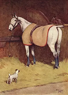 Pretender: Illustration, Peter, the fox terrier, in the stables