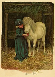 Stable: Illustration, My Pony