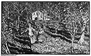 Robber: Illustration, The Robber Bridegroom