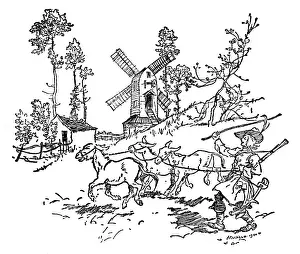 Donkeys: Illustration, The Salad