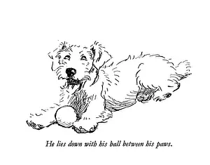 Sealyham: Illustration of a Sealyham terrier by Cecil Aldin