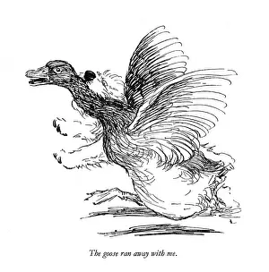 Sealyham: Illustration of a Sealyham terrier by Cecil Aldin