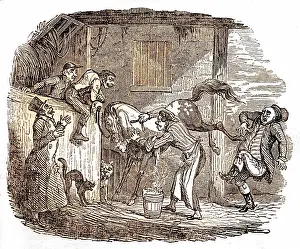 Lather: Illustration, Shaving a horse