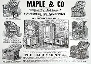 Maple: Illustration showing Advertisement for Maple &