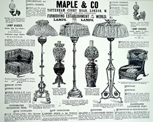 Maple: Illustration showing Advertisement for Maple &