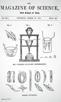 Crosses: Illustration showing Andrew Crosse's electrical experiments