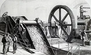 Driven: Illustration showing Cuba sugar