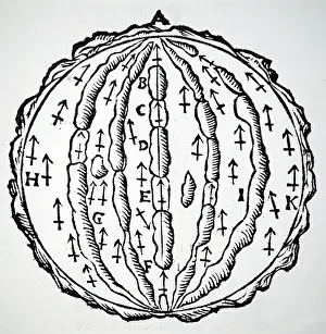 Poles: Illustration showing the Earth as a magnet